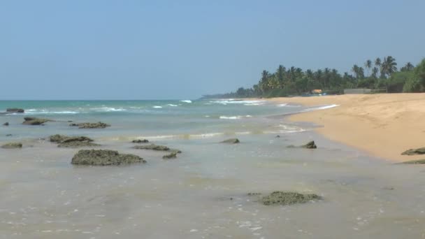 Тропическое побережье с желтым песком — стоковое видео