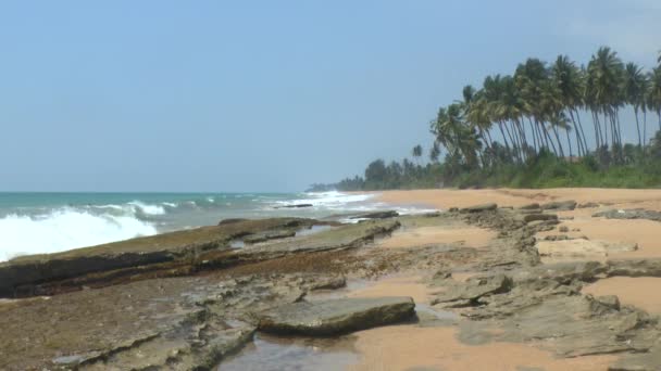 Côte tropicale, Sri Lanka .