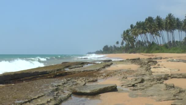 Tropische Küste, sri lanka. — Stockvideo