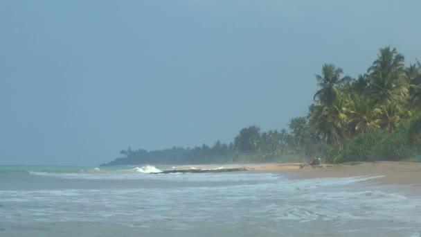 Tropikalne Wybrzeże, sri lanka. — Wideo stockowe