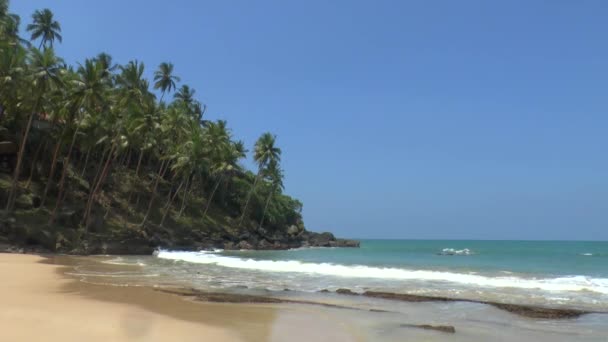 Côtes tropicales avec sable jaune — Video