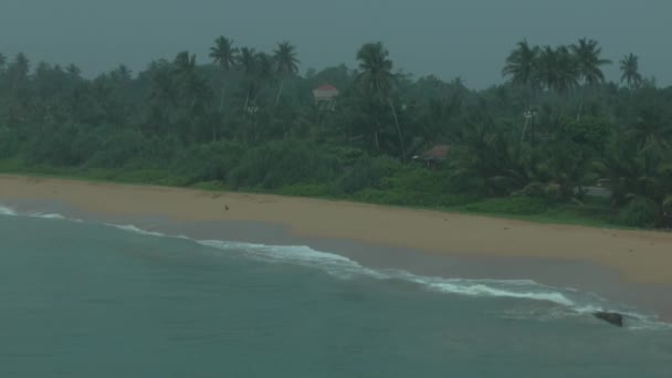 Tropical coastline ,Sri Lanka. — Stock Video