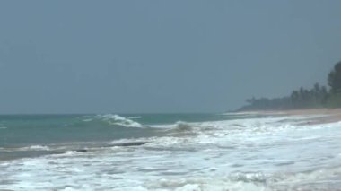tropikal kıyı şeridi, sri lanka.