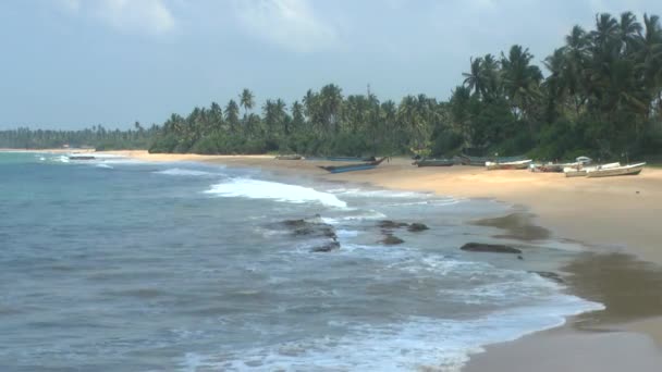 Litoral tropical, Sri Lanka . — Vídeo de Stock