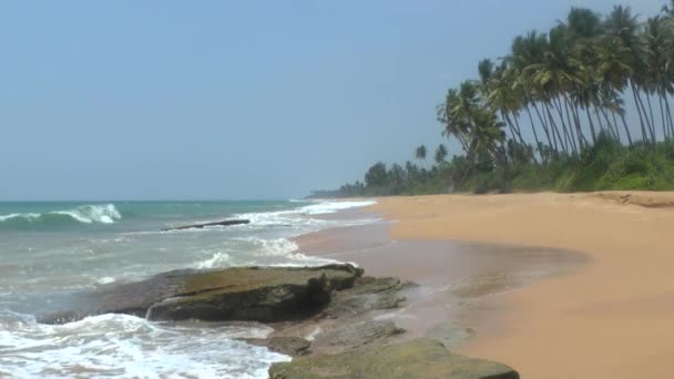 Тропічних берегової лінії, Шрі-Ланка. — стокове відео