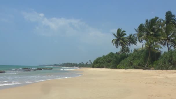 Tropical coastline ,Sri Lanka. — Stock Video