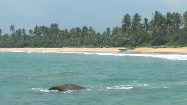 Tropické pobřeží, Srí lanka. — Stock video