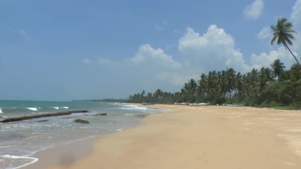 Tropical coastline ,Sri Lanka. — Stock Video