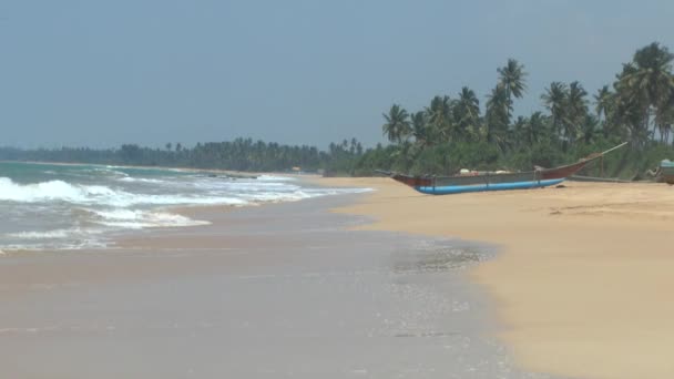 Côte tropicale, Sri Lanka .