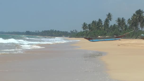 Tropické pobřeží, Srí lanka. — Stock video