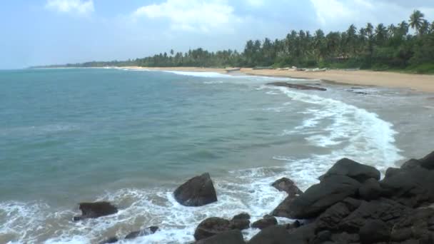 Tropische kust, sri lanka. — Stockvideo