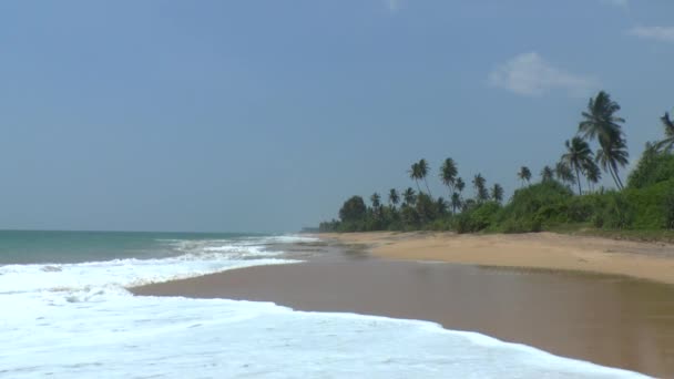 Côte tropicale, Sri Lanka .