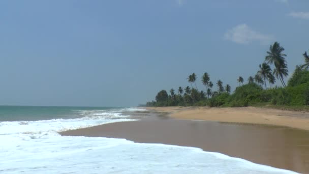 Tropiska kusten, sri lanka. — Stockvideo