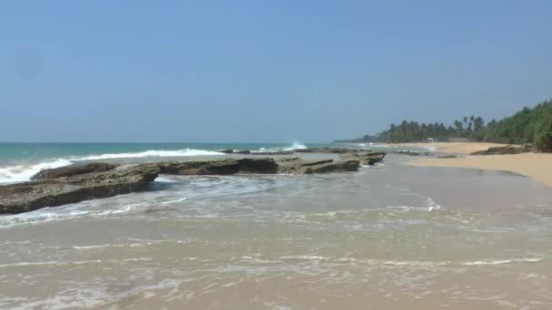 Tropical coastline ,Sri Lanka. — Stock Video