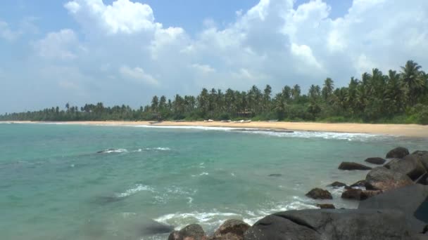 Tropische kust, sri lanka. — Stockvideo