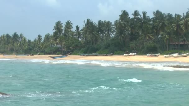 Costa tropical, Sri Lanka . — Vídeos de Stock