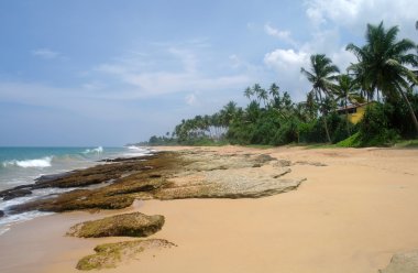 sri Lanka pastoral plaj taşlar.