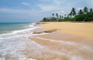 tropik cennet plaj. Sri lanka