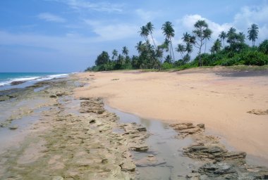 tropik cennet plaj. Sri lanka