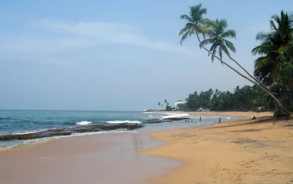 Tropikalny raj plaży. Sri lanka — Zdjęcie stockowe