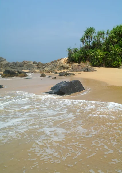 Tropiskt paradis strand. Sri lanka — Stockfoto