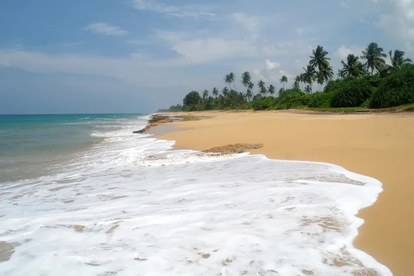 Playa paradisíaca tropical. Sri Lanka —  Fotos de Stock