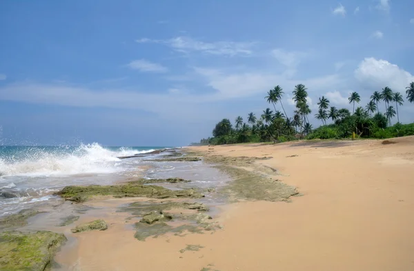 Tropical paradise  beach. Sri Lanka — Stock Photo, Image