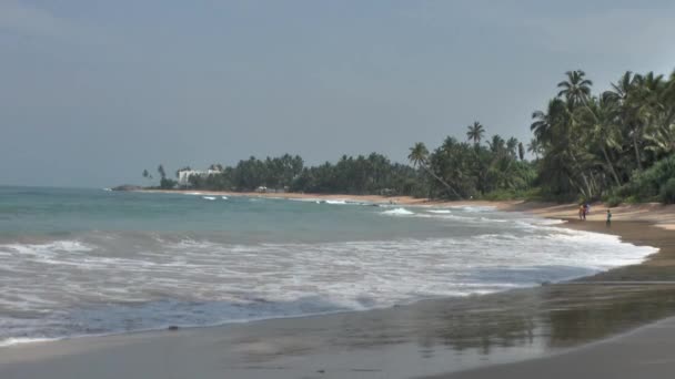 Tropical coastline ,Sri Lanka. — Stock Video