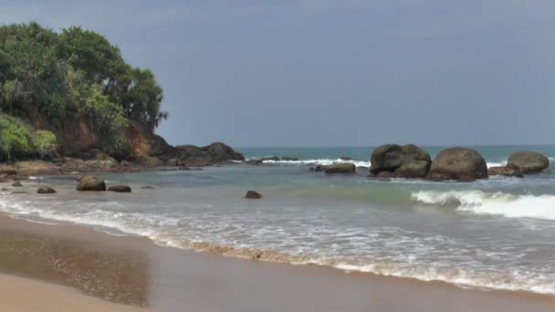 Tropikal kıyı şeridi, sri lanka. — Stok video