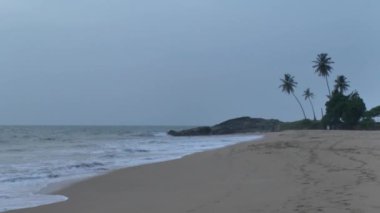 tropikal kıyı şeridi, sri lanka.