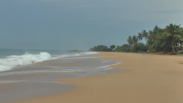 Тропическое побережье Шри-Ланки . — стоковое видео