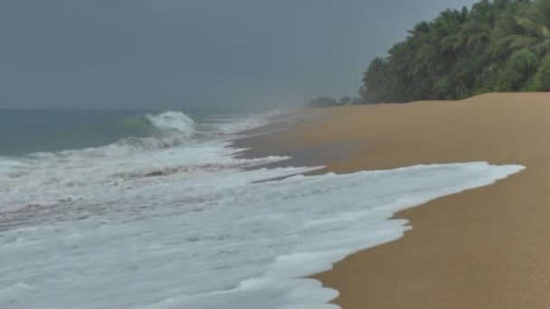 Tropical coastline ,Sri Lanka. — Stock Video