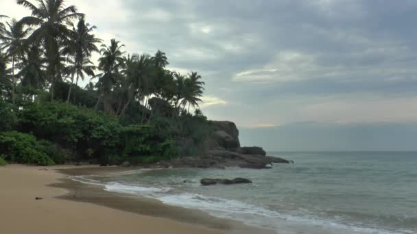 Tropikalne Wybrzeże, sri lanka. — Wideo stockowe