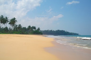 Resimlik plaj tropikal. Sri lanka