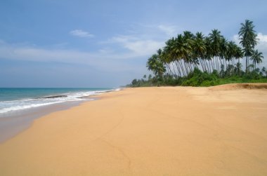 sri lanka sahillerinde çılgın plaj