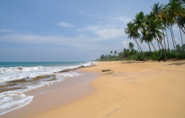 sri lanka sahillerinde çılgın plaj