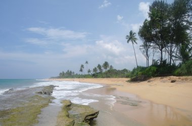 sri lanka sahillerinde çılgın plaj