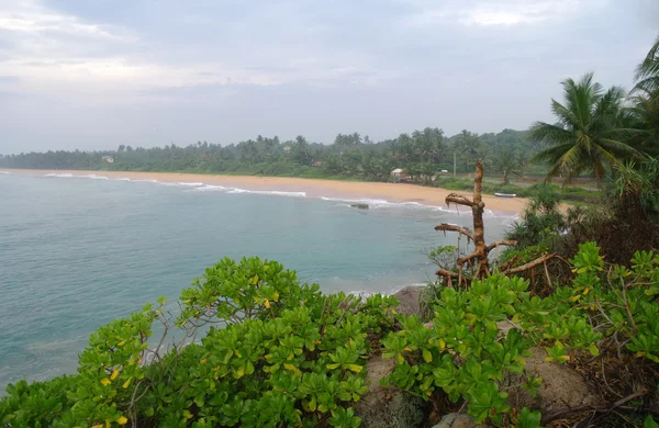 Wild beach on Sri lanka coast — Stock Photo, Image