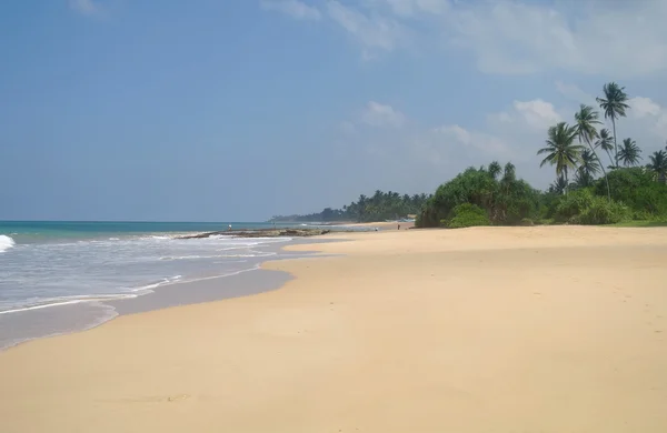 Praia tropical pitoresca. Sri Lanka — Fotografia de Stock