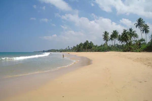 Pintoresca playa tropical. Sri Lanka —  Fotos de Stock