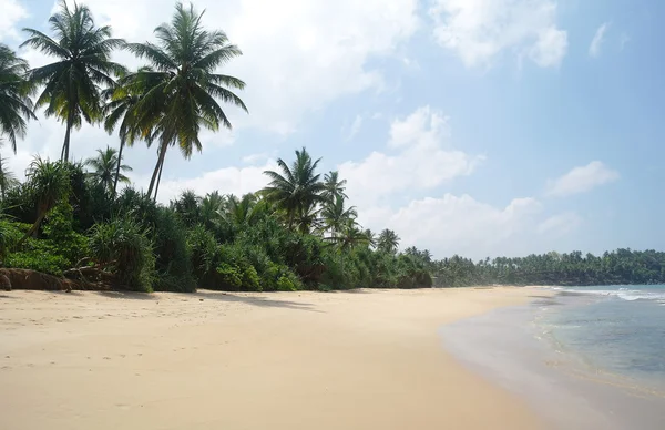 Pintoresca playa tropical. Sri Lanka —  Fotos de Stock