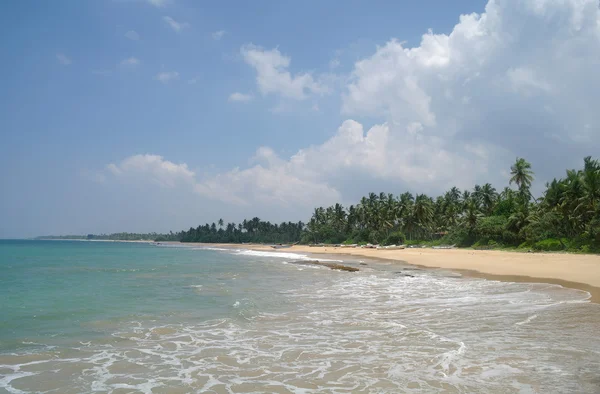Pintoresca playa tropical. Sri Lanka — Foto de Stock
