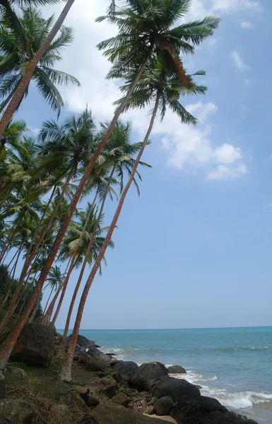 Playa salvaje en la costa de Sri Lanka — Foto de Stock