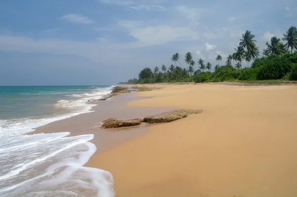 Dzikiej plaży na wybrzeżu sri Lanki — Zdjęcie stockowe
