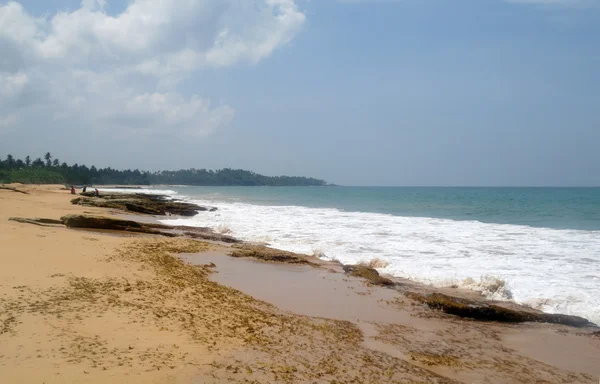 Dzikiej plaży na wybrzeżu sri Lanki — Zdjęcie stockowe