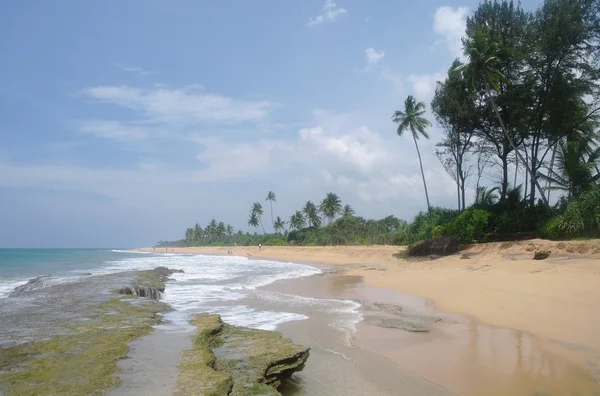 Playa salvaje en la costa de Sri Lanka —  Fotos de Stock