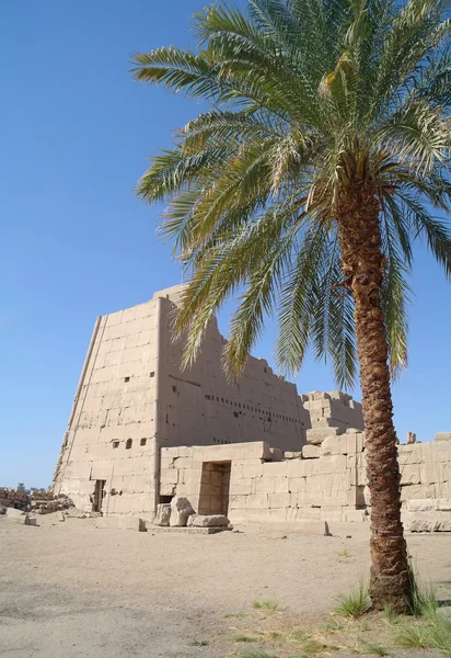 Karnak Tapınağı luxor karmaşık — Stok fotoğraf