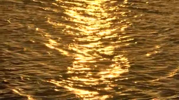 Zonsondergang op de rivier. — Stockvideo