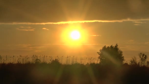 Прекрасний схід сонця в підлозі — стокове відео