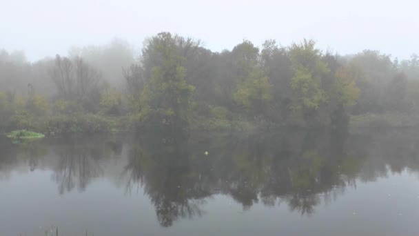 Ochtend met mist over de rivier — Stockvideo